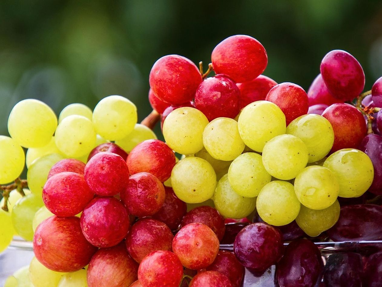 Frozen Berry Blends